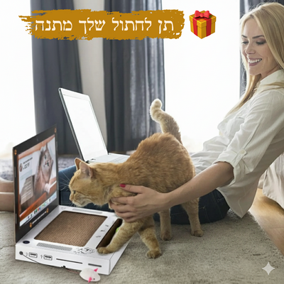 מגרדת חתולים דמוי מחשב נייד