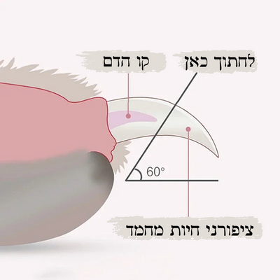 קוצץ ציפורניים עם תאורת LED – בטיחות, דיוק ונוחות בכל גזירה!