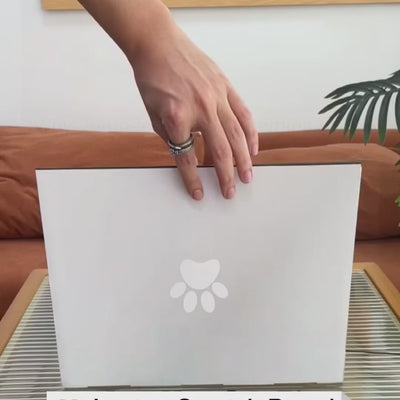 מגרדת חתולים דמוי מחשב נייד